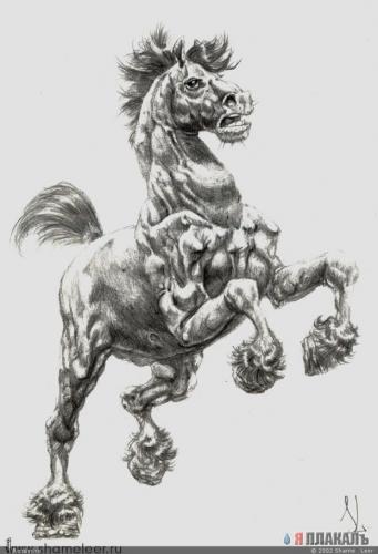 Конь Тыгдымский